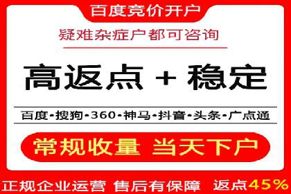 Sem优化公司案例：精准广告投放策略解析